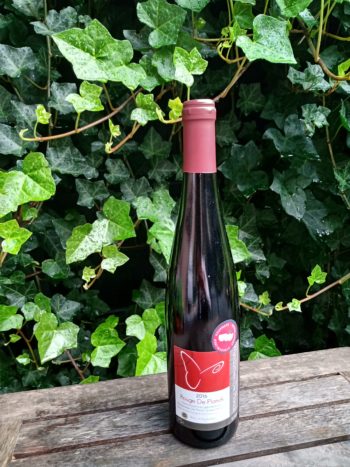GoDutch.Wine | Rouge De Planck 2016 Regent Cabernet Cortis