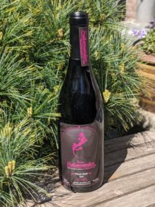 GoDutch.wine Domaine Salamander Pinor noir 2018