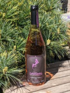 GoDutch.wine Domaine Salamander Pinor noir rose 2019
