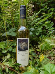 GoDutch.wine Wijngaard Klein Amerika Blanc de noir 2020