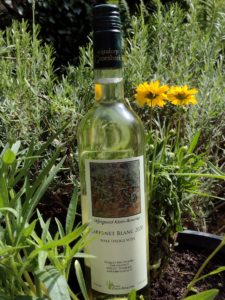 GoDutch.wine Wijngaard Klein Amerika Cabernet Blanc 2020 half droog