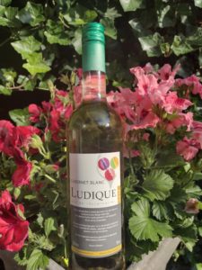 GoDutch! wine Ludique Cabernet Blanc