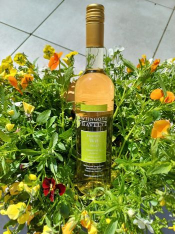 GoDutch!Wine_WIjngoed_Havelte_HavelterWit_2023