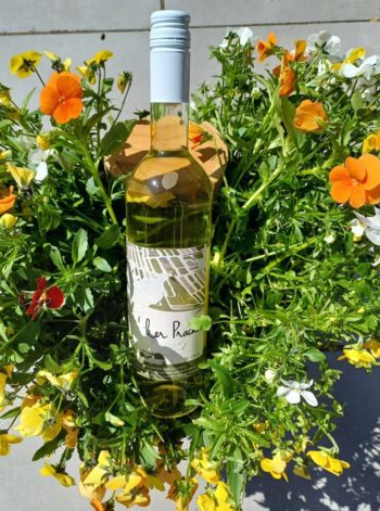 GoDutch!Wine_Wijndomein_deKoen_LangedijkerPracht_2023