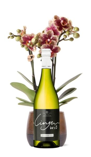 GoDutch!Wine_BetuwsWijndomein_johanniter 2022_2