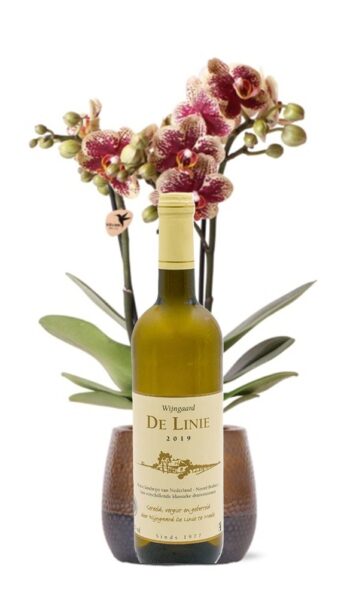 GoDutchWine_DeLinie wit_cuvee 2023_2