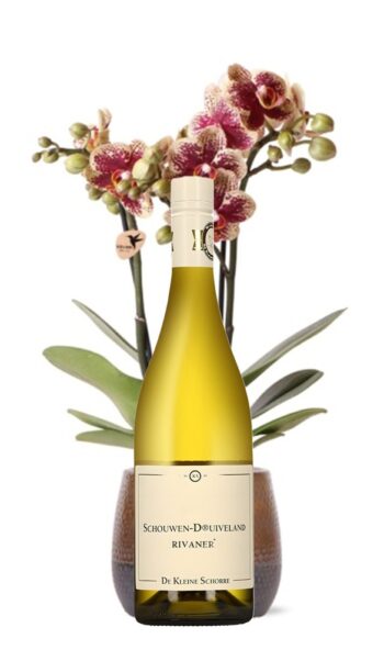 GoDutch!Wine_de-kleine-schorre-Rivaner_2023_2
