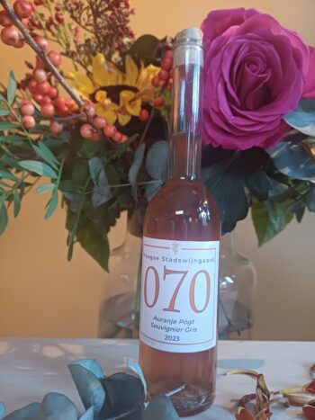 GoDutchWine_HSW_Oranje_pogt_2023
