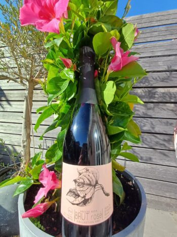 GoDutch!Wine_AandeBreedeBeek_Brut_rose_2021