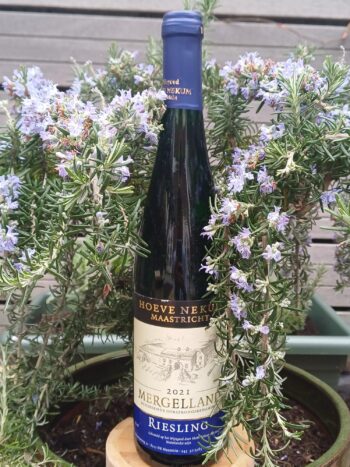 GoDutch!Wine_HoeveNekum_Riesling_2021