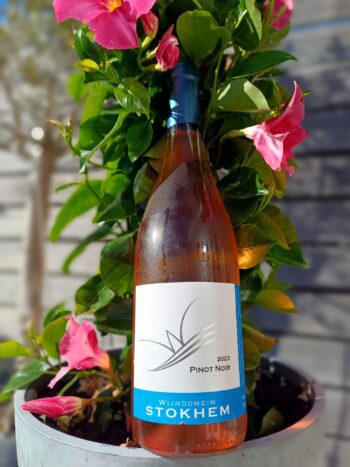 GoDutch!Wine_Stokhem_PinotNoir_rose_2023