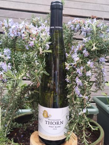 GoDutch!Wine_Thorn_PinotBlanc_2024