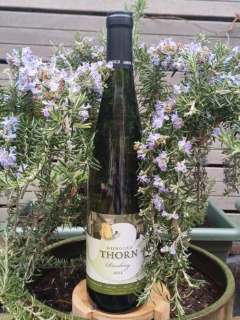 GoDutch!Wine_Thorn_Riesling_2022