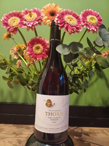 GoDutch!Wine_WijngoedThorn_PinotNoir777_Barrique_2022