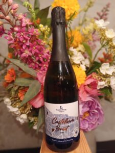 GoDutchWIne_WIjngaard_Luysterburg_Castellum_Brut_2023